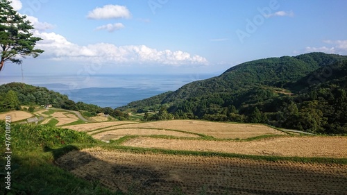 高台から見下ろす佐渡島の棚田