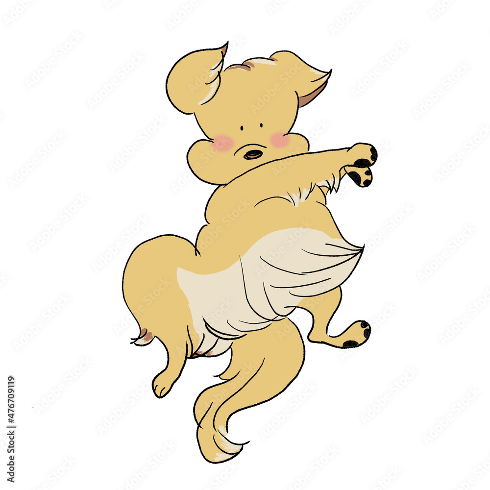 Obraz premium 仰向けでじゃれる犬