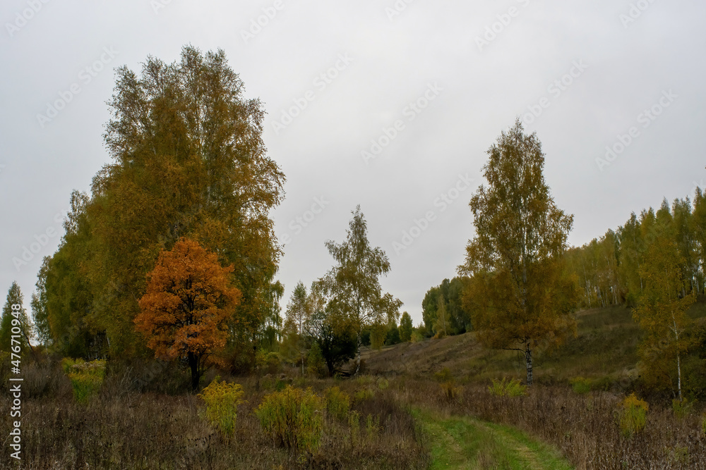 landscape on a cloudy autumn day