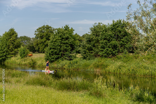 Peize, Netherlands July 16, 2021: A tanned woman in a t-shirt with bikini bottoms on a sup board. With an Australian Shepherd dog. Paddling on the paddle board in a river. animal themes,