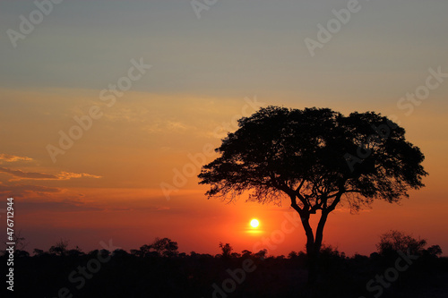 Sonnenuntergang Kr  ger Park S  dafrika   Sundown Kruger Park South Africa  