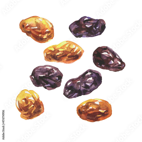 A set of dried grapes. Golden and dark seedless raisins. Delicious food, sweet dessert fruits. Color illustration isolated on a white background in watercolor technique.