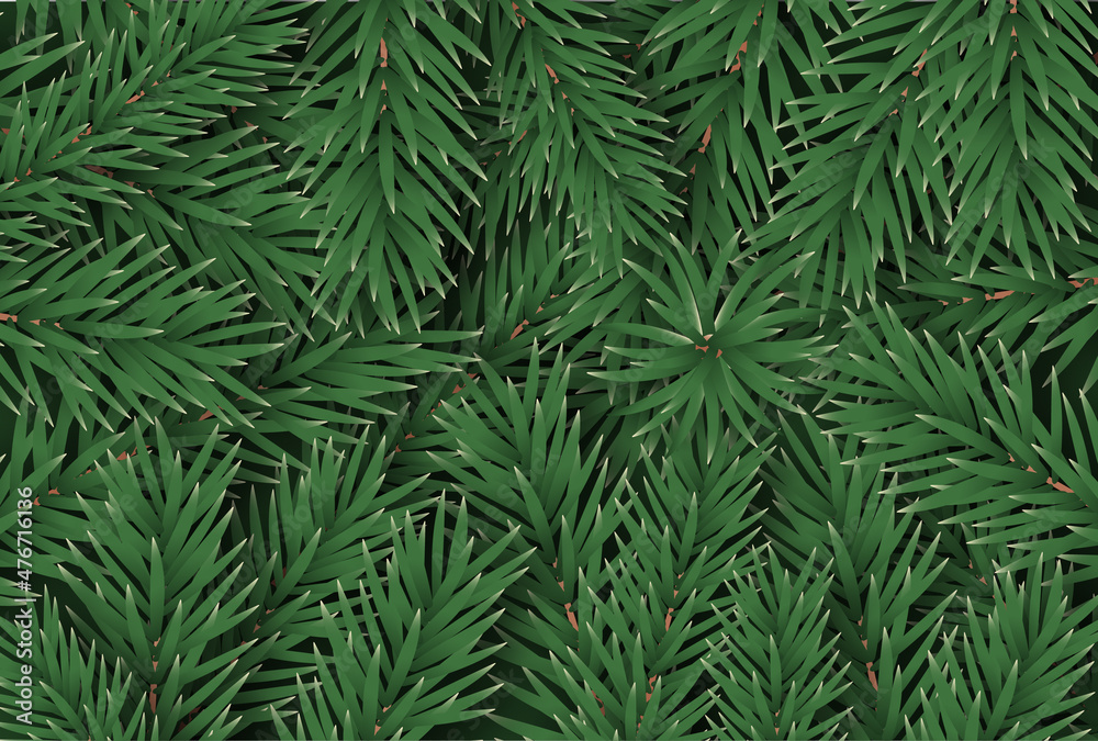 The pattern for New Year and Christmas cards consists of green coniferous branches gathered over the entire background. Modern design from plants poster.