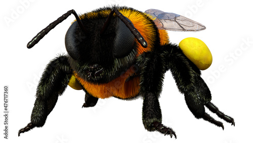 Canvas 3D Rendering Bumblebee on White