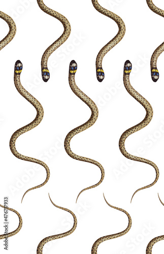 Seamless pattern with snakes. Forest background. Hand-drawn illustration, vector