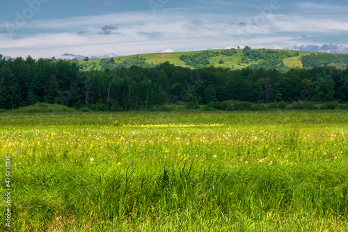 Summer photo. floodplain meadows A meadow (or floodplain) is an area of ​​meadows or pastures on the banks of a river that is prone to seasonal flooding.