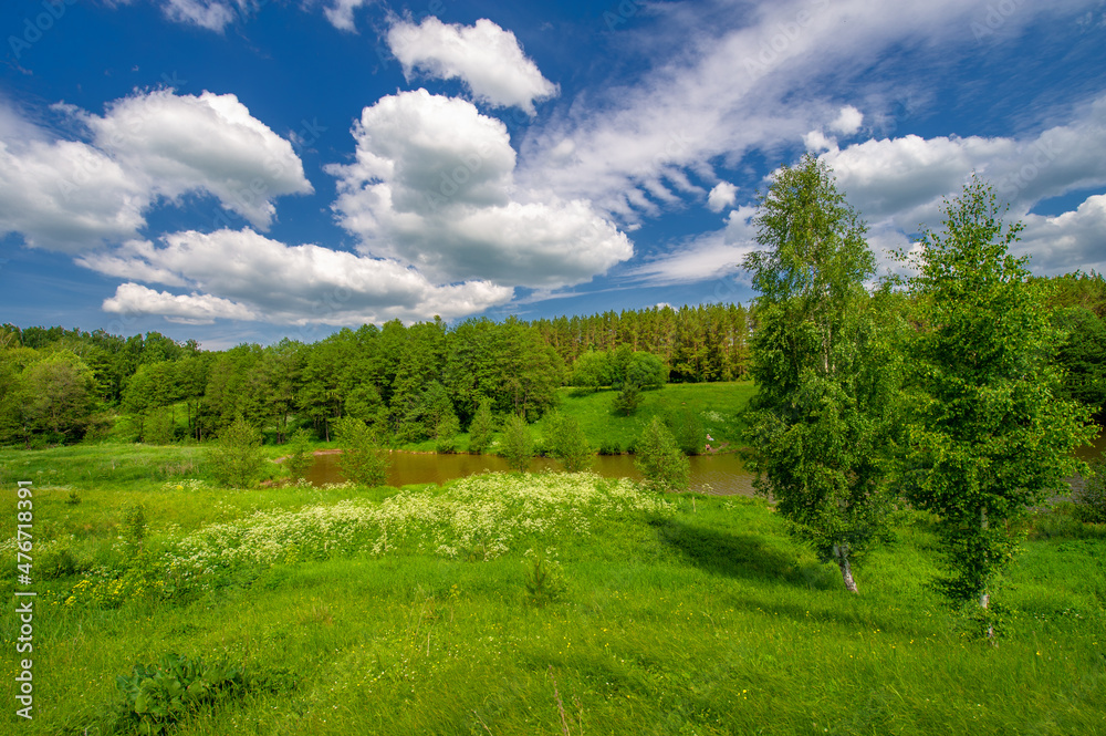 Summer landscape, countryside, bright green grass and trees, blue sky with white clouds, great summer mood