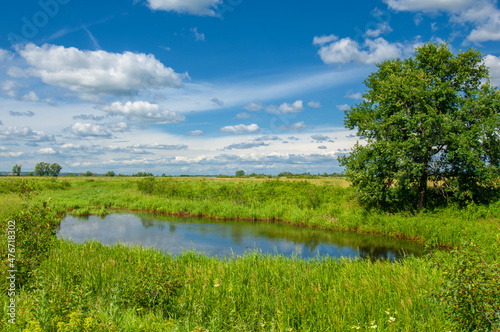 Summer photo. floodplain meadows A meadow (or floodplain) is an area of ​​meadows or pastures on the banks of a river that is prone to seasonal flooding.