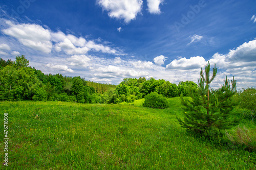 Summer landscape  countryside  bright green grass and trees  blue sky with white clouds  great summer mood