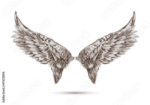 Beautiful hand draw bird wing sketch design