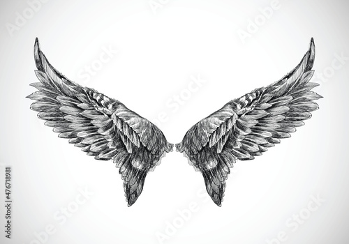 Hand draw bird wing sketch design