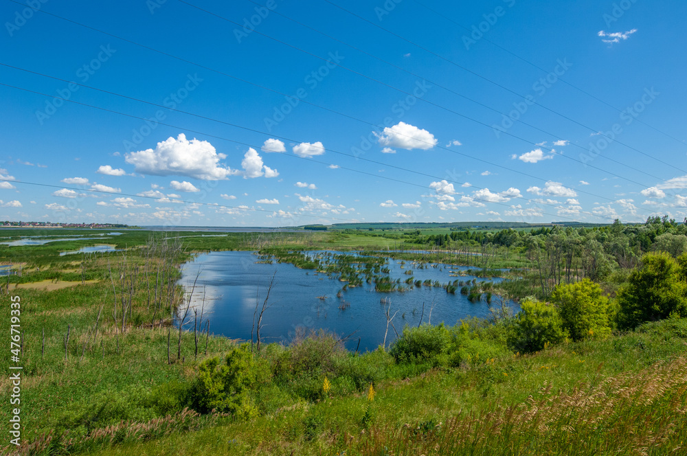 summer photography, a river overgrown with reeds, blue sky with white clouds, blue water covered with duckweed, river floodplain, sultry summer day