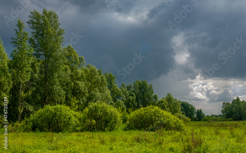 summer landscape  thunderclouds  blue sky  floodplain meadow fields  the aroma of summer colors and a variety of wildflowers