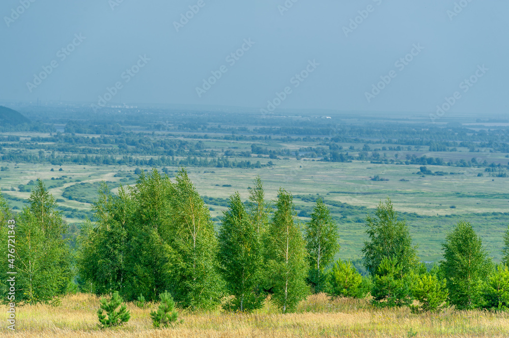 Summer photo: landscape of the European part, meadow trees are preparing for autumn colors,