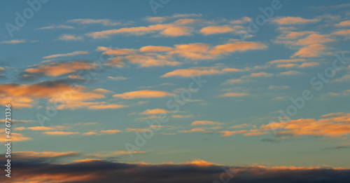 Wildlife photography. Cumulus clouds are clouds that have flat bases and are often described as    puffy        cotton-like    or    fluffy    in appearance.