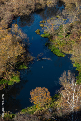 Aerial view of the river in the wild during the fall season. Trees with yellow leaves at sunset on a small winding river. Autumn in the wild on the background of the forest and the river