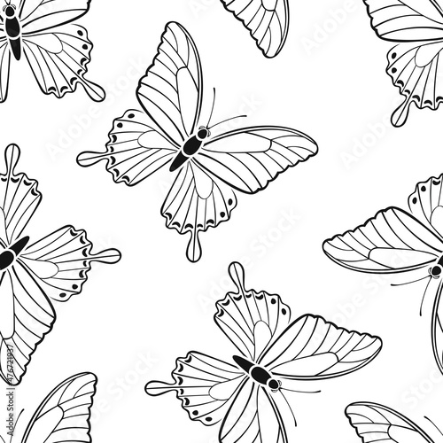 Flying butterflies background. Seamless pattern with silhouette of beautiful butterfly. Black and white vector outline illustration.