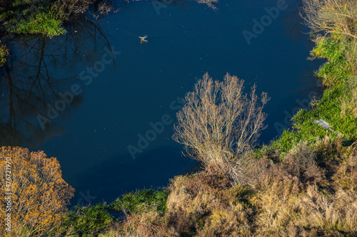 Aerial view of the river in the wild during the fall season. Trees with yellow leaves at sunset on a small winding river. Autumn in the wild on the background of the forest and the river