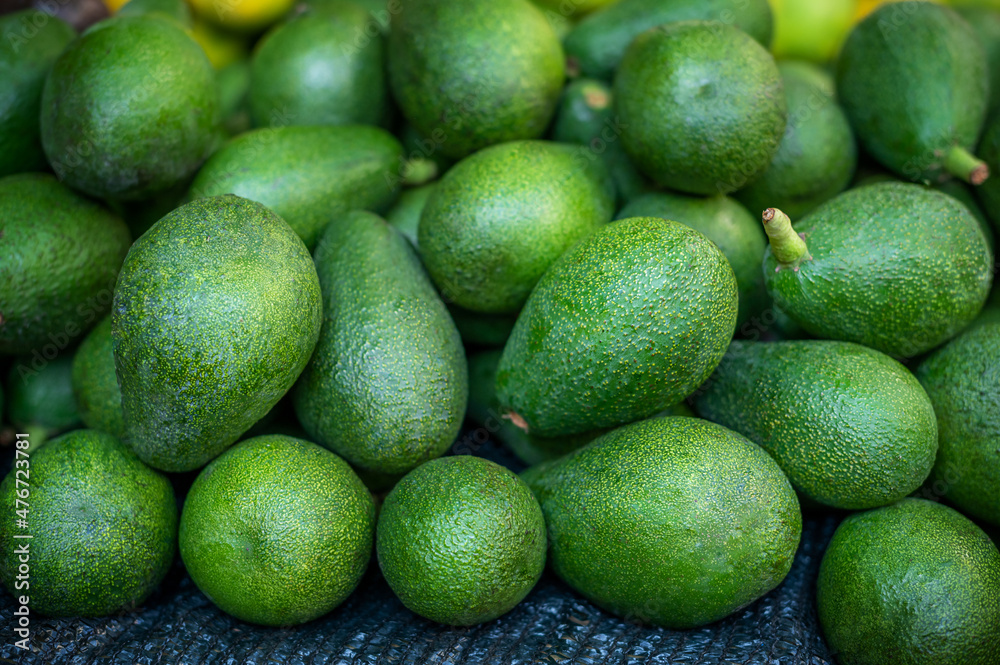 Selected ripe avocado boxes. boxes of avocado. Daylight. View from above. horizontal Selected ripe avocado boxes. boxes of avocado. Daylight. View from above. horizontal