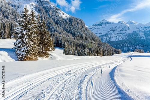 A beautiful cross-country trail runs through the fresh white snow in the area of ​​Gnadealm Obertauern, Austria. © Emma