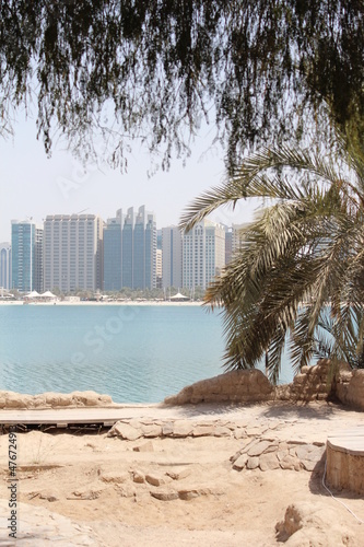 Beach in Dubai. Palm tree by the water