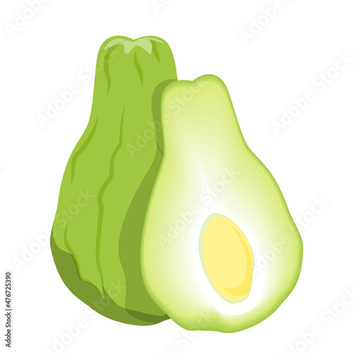 Exotic fruit chayote vector isolated. Illustration of a green, fresh, healthy product. Slice of a chayote with seed in centre. photo