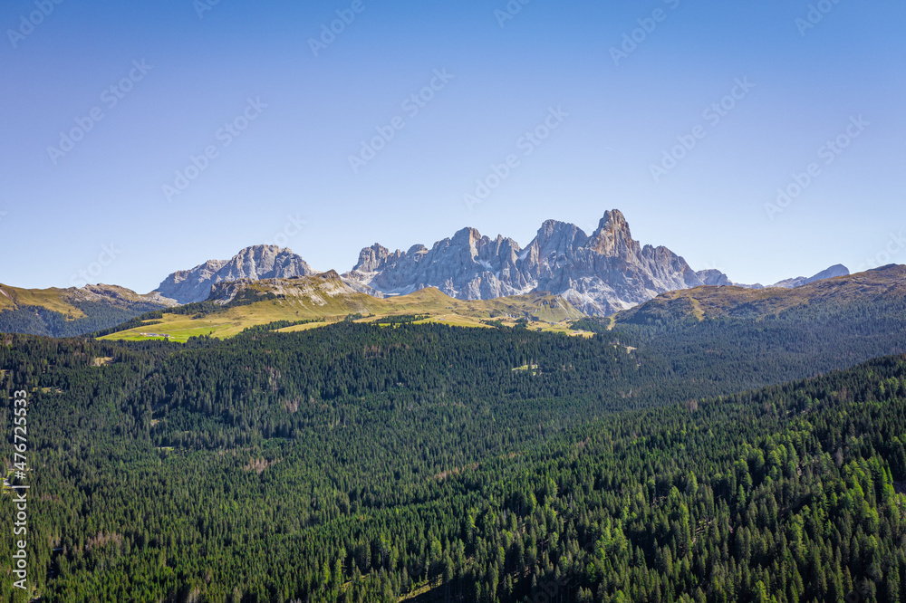 view on forest and pale di san martino mountains in the dolomites from above