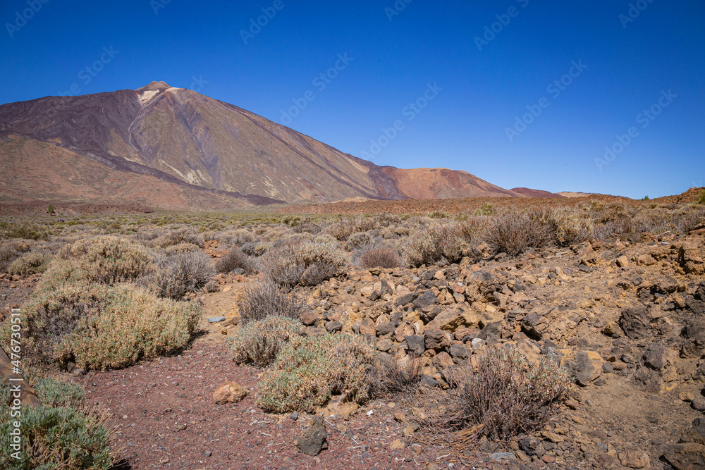 Plains view in Teide National Park with blue clear sky, Tenerife