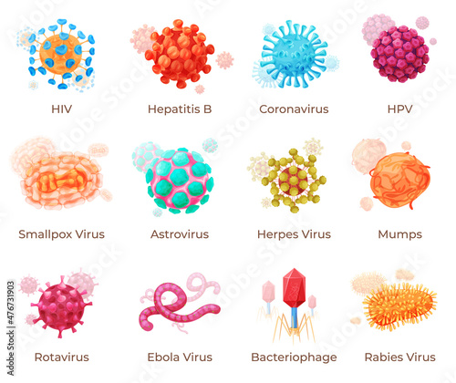 Human viruses with names infographic collection vector. Disease virus cell medical microbiology