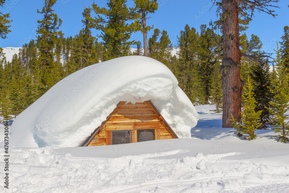 Wooden house covered with snow in winter coniferous forest at sunny day Wooden house covered with snow in winter coniferous forest at sunny day