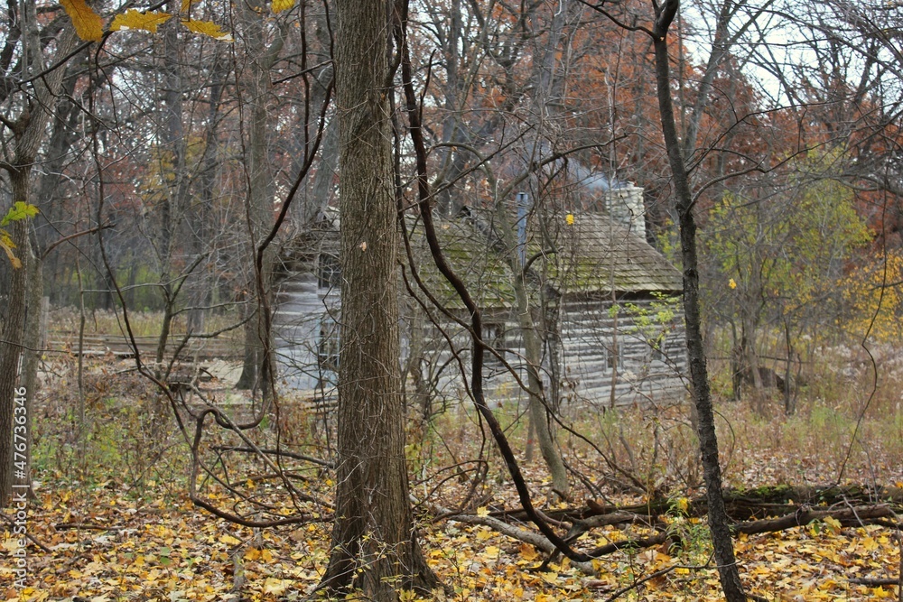 autumn in the park