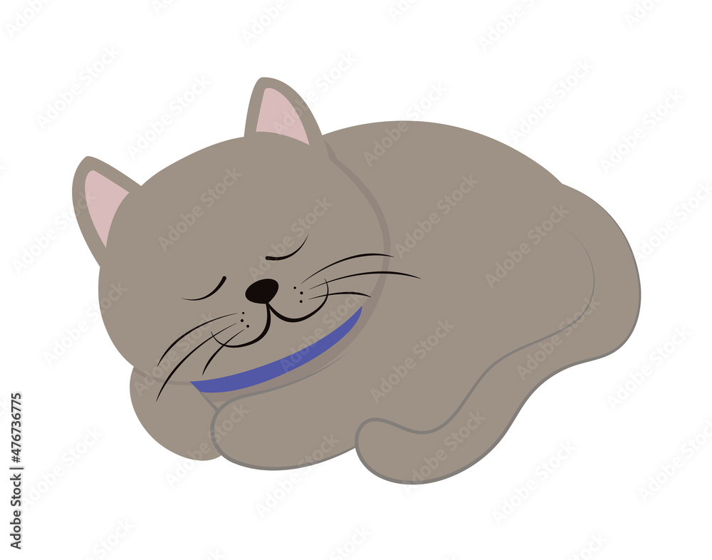 sleeping cute cat sleeping cute cat