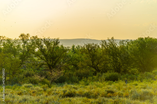 steppe, prairie, veld, veldt are ecosystems that ecologists consider to be part of the biome of grasslands, savannas and shrubs with a temperate climate, based on a similar temperate climate