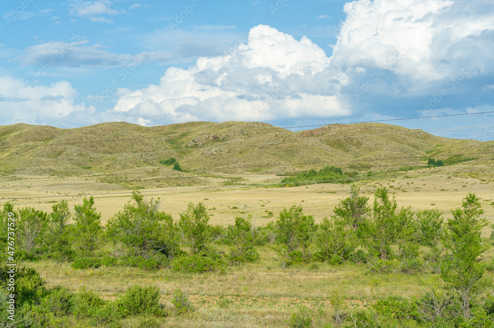 steppe, prairie, veld, veldt are ecosystems that ecologists consider to be part of the biome of grasslands, savannas and shrubs with a temperate climate, based on a similar temperate climate