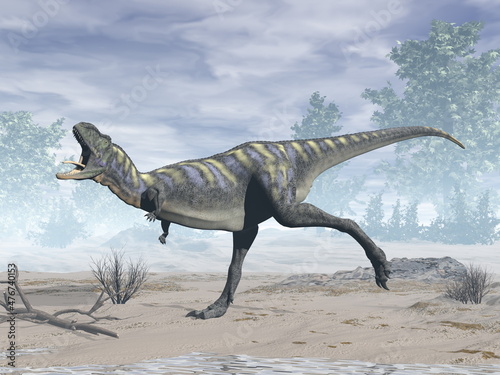 Aucasaurus dinosaur roaring in the desert - 3D render