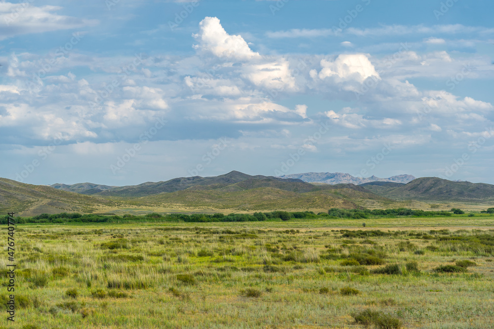 steppe, prairie, veld, veldt - Steppe can be semi-arid or covered with grass or shrubs, or both. The term 