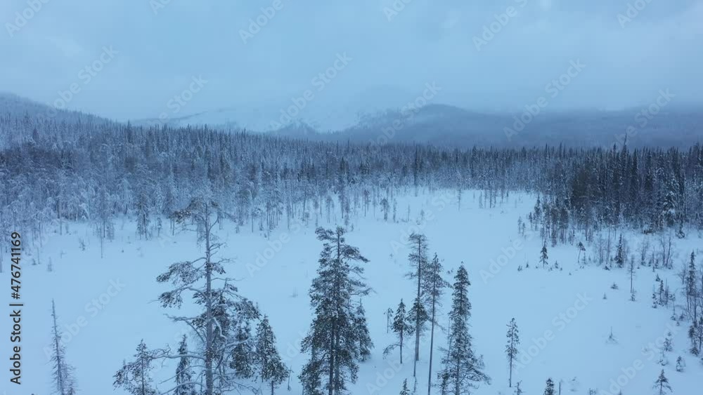 Aerial view around a man e-biking in gloomy Yllas, Lapland - circling, drone shot Aerial view around a man e-biking in gloomy Yllas, Lapland - circling, drone shot
