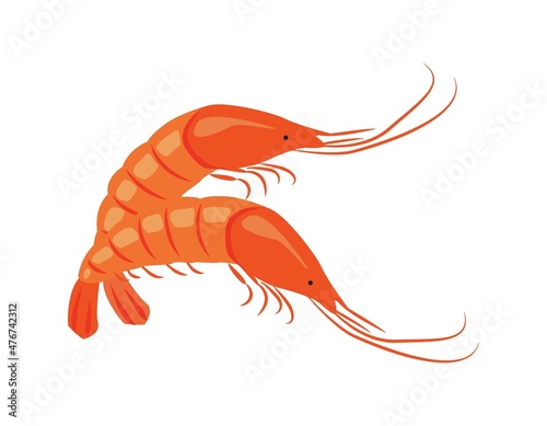 Fresh shrimps in flat style, seafood. Vector illustration for the menu of fish restaurants, for packaging in markets and shops.