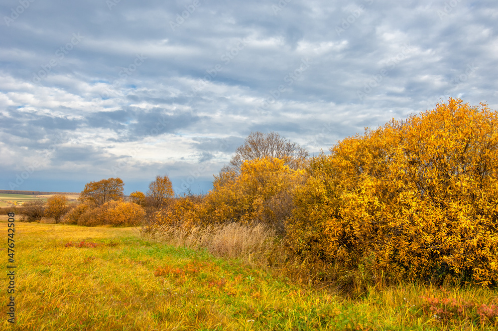 Autumn landscape photography. The European part of the land, fie