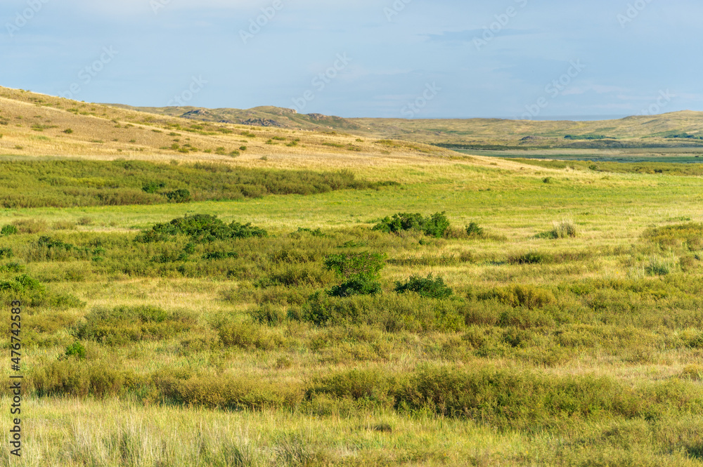 steppe, prairie, veld, veldt - The largest steppe region in the world, often referred to as the 