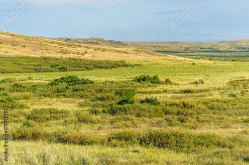 steppe, prairie, veld, veldt - The largest steppe region in the world, often referred to as the "Great Steppe", is located in Eastern Europe and Central Asia, as well as in neighboring countries