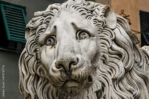 Close-up of the head of one of the two lions that flank the staircase of the Cathedral of San Lorenzo, Genoa, Liguria, Italy