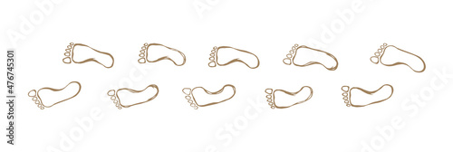 Foot. Vector drawing