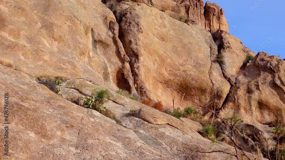 Deserted mountain landscape, Yucca and Cacti in a Red Cliffs Mountain Landscape in Arizona, USA Deserted mountain landscape, Yucca and Cacti in a Red Cliffs Mountain Landscape in Arizona, USA