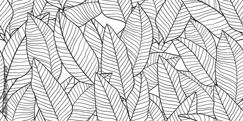 Tropical leaves coloring book seamless pattern