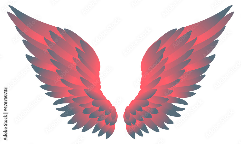 Obraz premium Beautiful tender grey pink gradient wings, color vector illustration