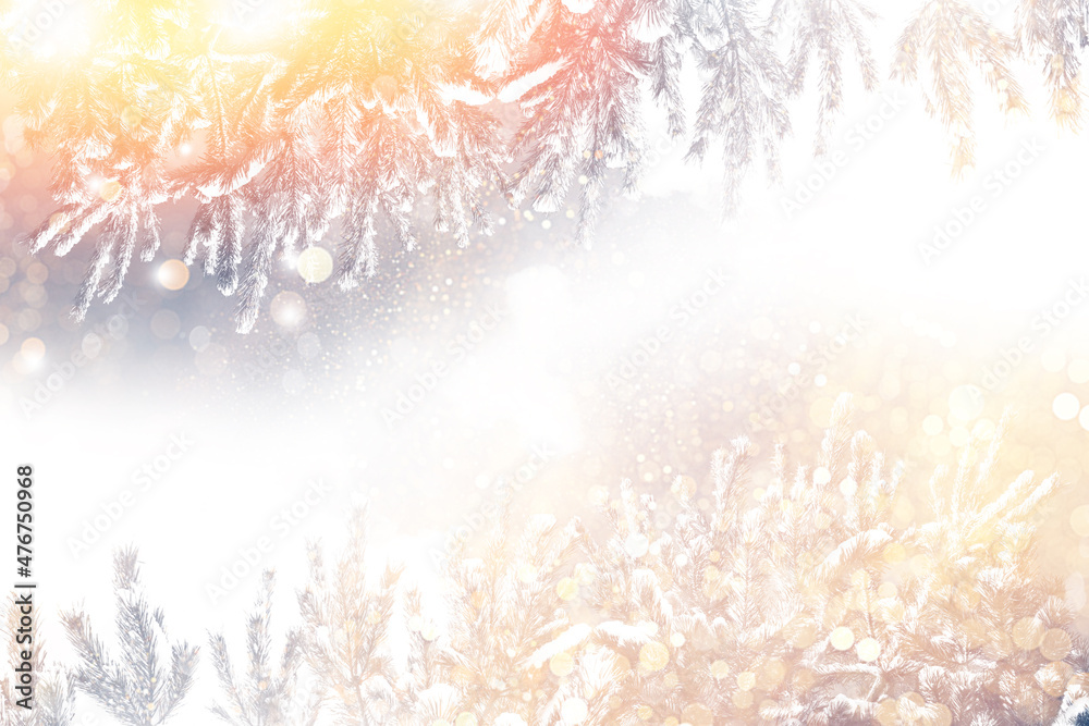 Snow covered fir branch on a winter background. Snow covered fir branch on a winter background.