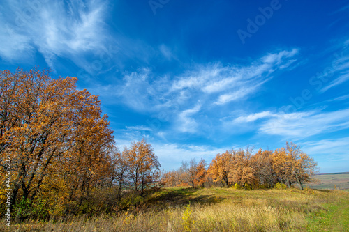 Fototapeta Naklejka Na Ścianę i Meble -  Autumn landscape photography, the European part of the Earth. Ru