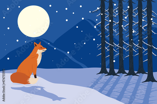 wolf in night seascape