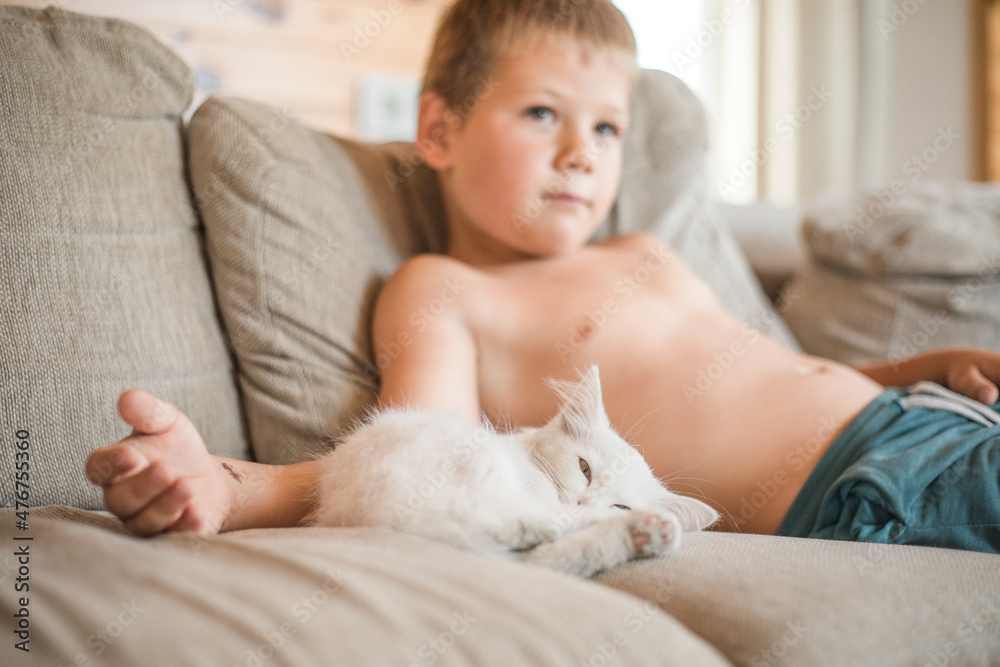 Child playing with baby cat. Kid holding white kitten. Little boy snuggling cute pet animal sitting on couch in sunny living room at home. Kids play with pets Child playing with baby cat. Kid holding white kitten. Little boy snuggling cute pet animal sitting on couch in sunny living room at home. Kids play with pets